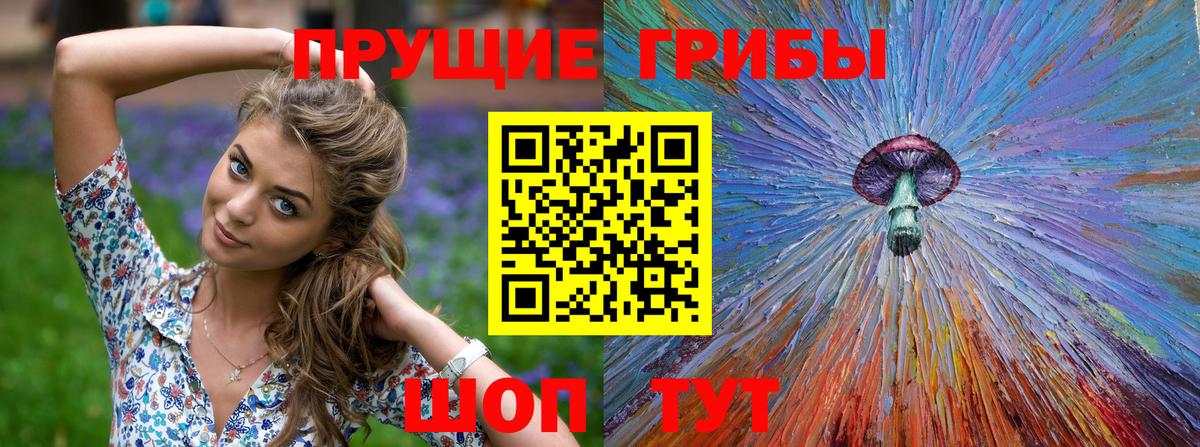 Псилоцибиновые грибы ЛСД  Вход с VPN  Сокол 